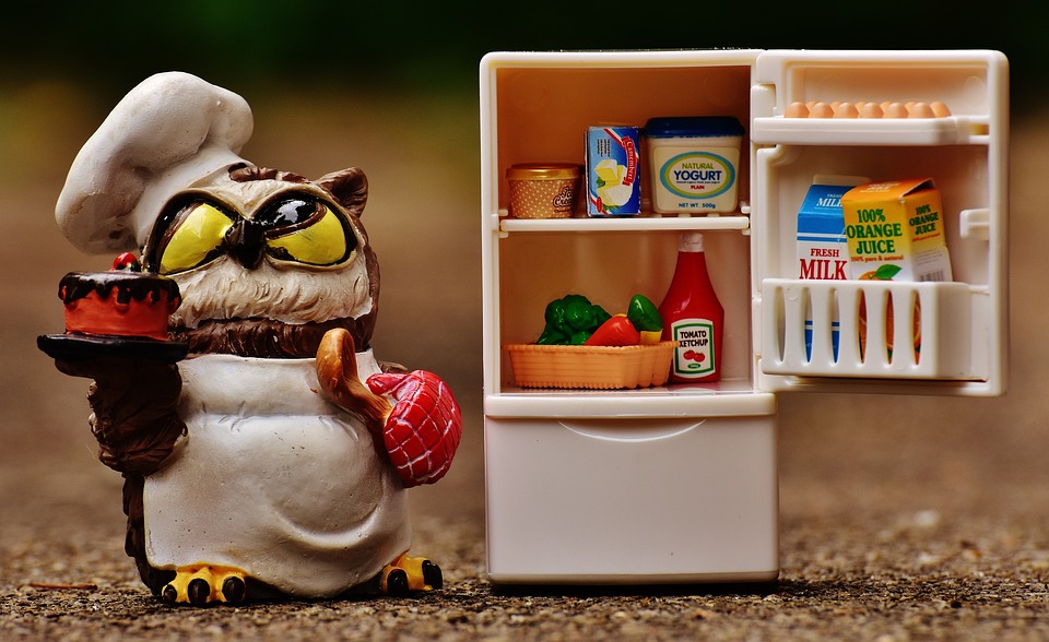 owl fridge