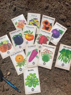 The seeds for garden bed no2