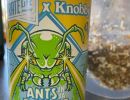 Green Ant Pale Ale