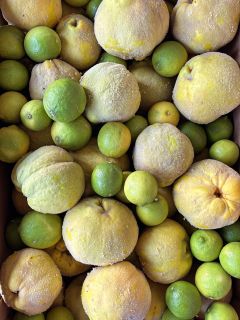 93B2F426 A7E7 47D8 B8E6 7CAEF922C205