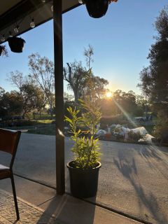 Screenshot 2025 10 08 at 2.43.59   pm